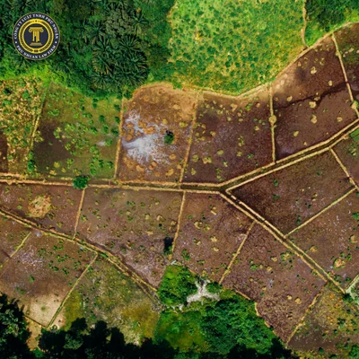 Tranh Chấp Đất Có Tài Sản Trên Đất — Hướng Giải Quyết 2026